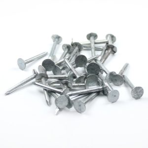 25mm Clout Nails